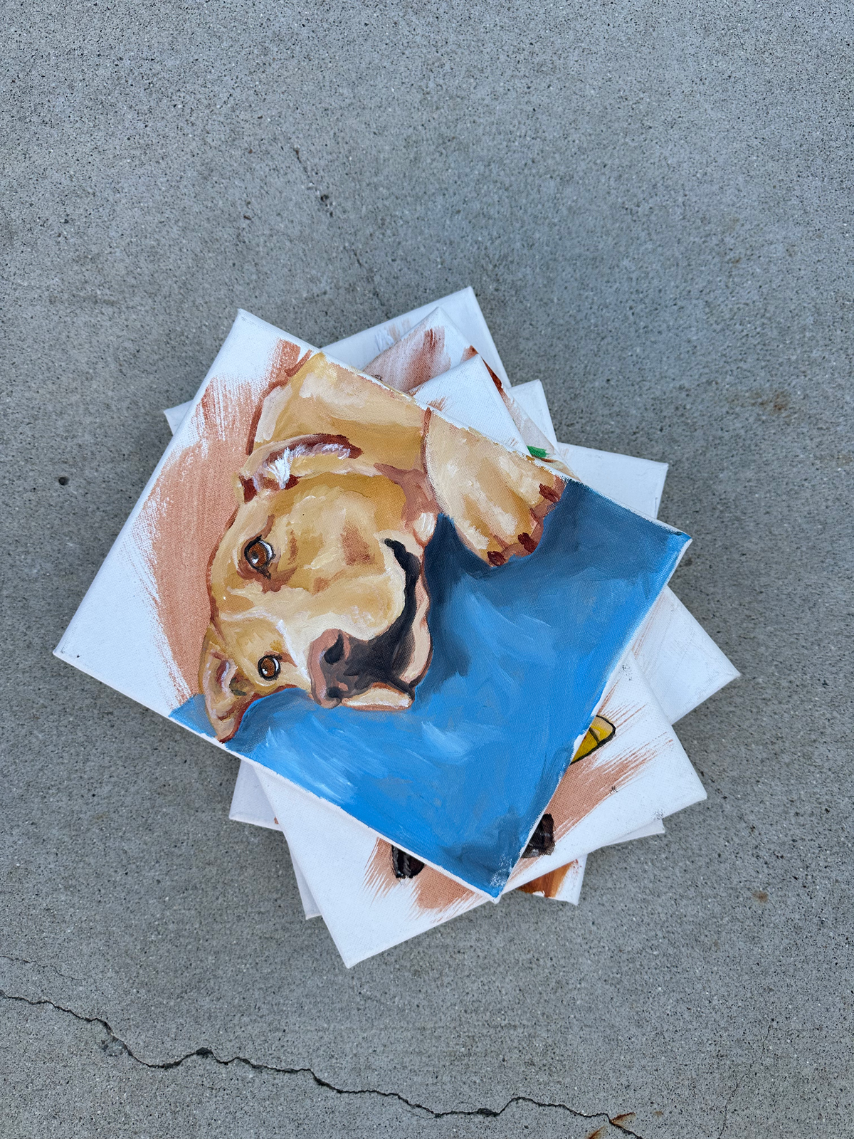 Custom Pet Portrait (Mini)